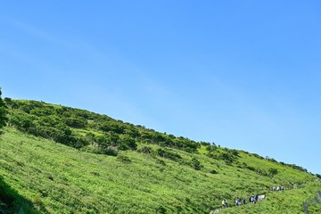 Fototapeta na wymiar 伊吹山の山頂目指して登山道を登る人たち＠滋賀
