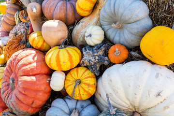 Stack of pumpkins and gourds in an autumn scene.