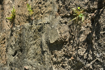 Rough gray rock surface background