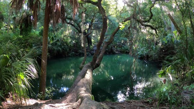 The green sulfuric waters of Green Springs park Florida Deltona Volusia County