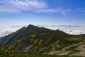 中央アルプス・木曽駒ヶ岳　登山道から望む伊那前岳と雲海に浮かぶ南アルプスの山々