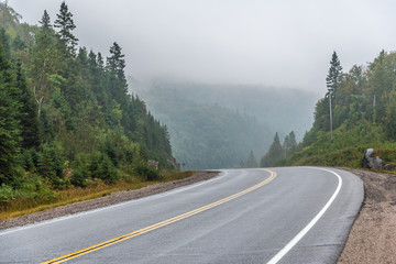 Fototapeta premium Strong fog.