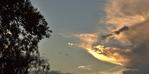 clouds in the sky and trees