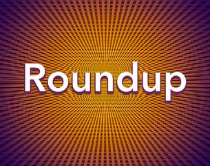 A headline banner with a starburst of gold on purple features the word roundup.