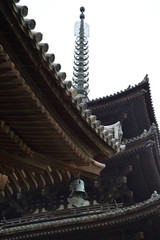 Fototapeta na wymiar 興福寺の東金堂と五重塔