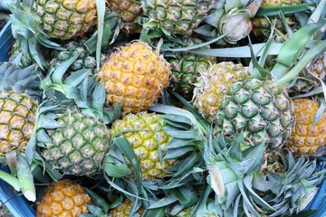 pineapple on the market