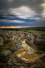 sunset over the field 