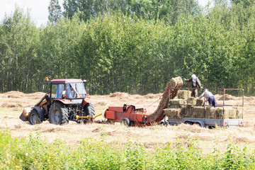 The tractor collecting hay in a meadow
