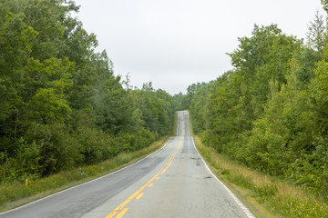 patched asphalt road in the forest