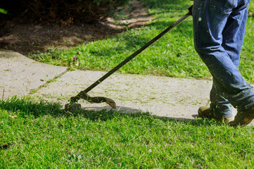 The gardener man mows the grass with a hand lawn mower.