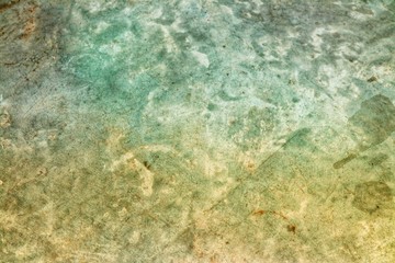 green grunge background with copy space