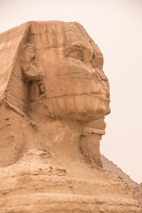 Fototapeta na wymiar Sphinx of Giza, Cairo, Egypt