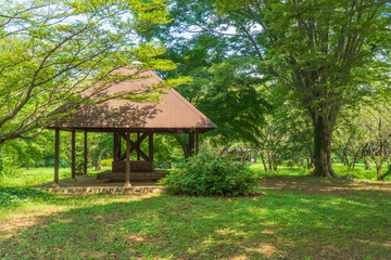 森の中の小さな小屋