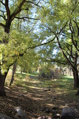 Dry Creek, William Hawrelak Park, Edmonton, Alberta