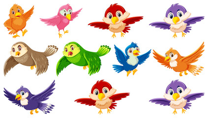 Fototapeta na wymiar Set of bird cartoon character