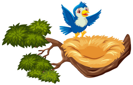 Bird's Nest Clipart Outline - Birds In Nest Drawing Transparent PNG -  600x431 - Free Download on NicePNG