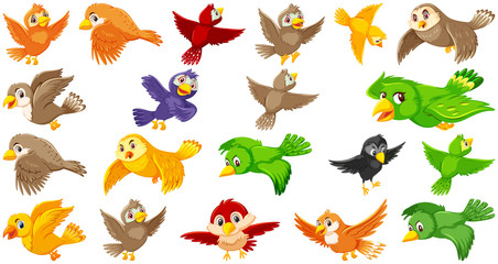 Set of bird cartoon character