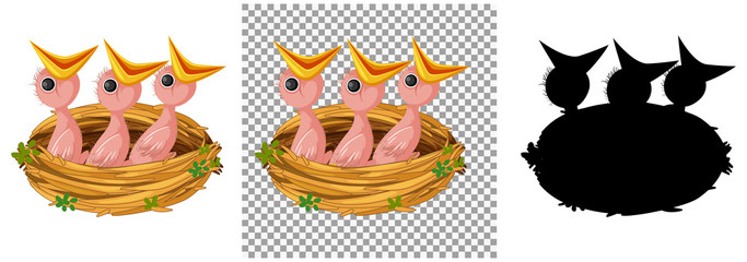 Hungry chick waiting for food in the nest