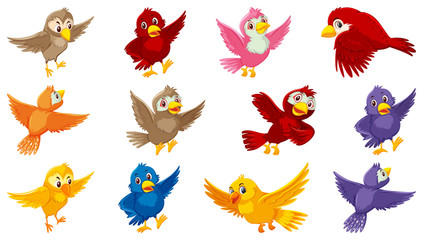 Set of bird cartoon character