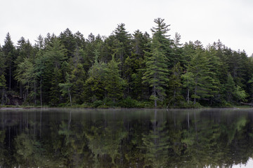 foggy lake in the forest