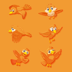Cute orange bird cartoon character