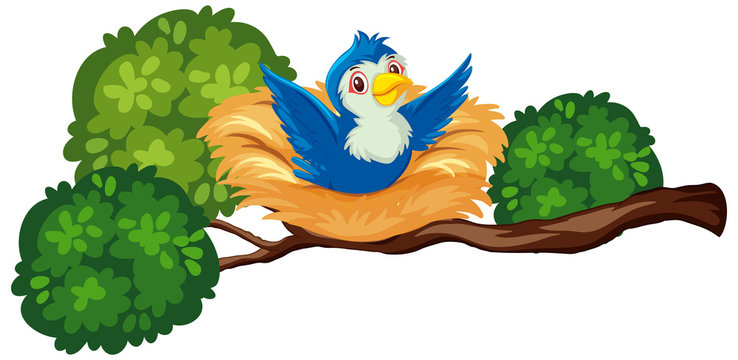 Happy blue bird on the nest