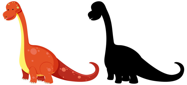 Cute brachiosaurus dinosaur and shadow isolated on white background