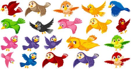 Set of bird cartoon character