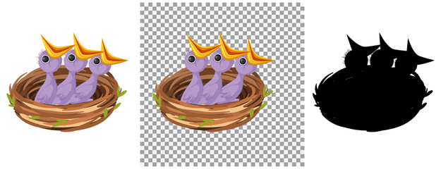 Hungry chick waiting for food in the nest