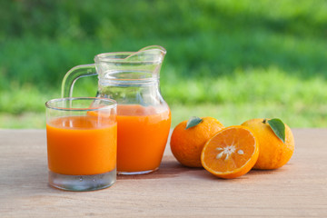 Orange juice on a wooden table and jug with tree and field background