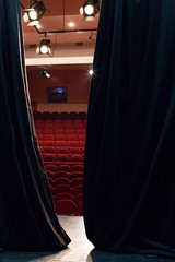 View from behind the curtains in a theater hall. Casting call