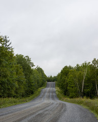 Gravel road in the forest