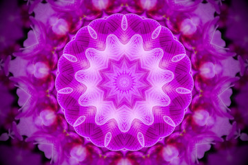 floral mandala in shades of pink