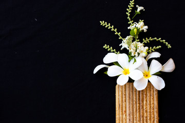 white flowers frangipani local flora of asia in spring season arrangement  flat lay postcard style on background black