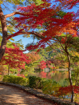 秋の再度公園（神戸・六甲山系）
