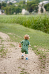 Cute little boy walking along the path on the background of reeds. Rear view. Walk in park. Family life.