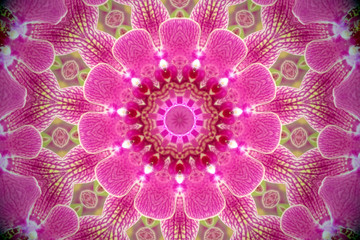 floral mandala in shades of pink and green