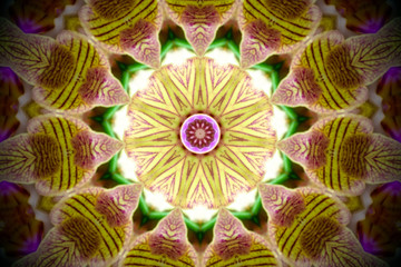 floral mandala in shades of yellow, pink, and green