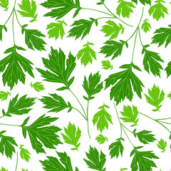 Green leaves on a white background. Floral seamless pattern. Vector. 