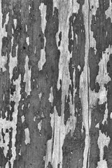 Texture of old dirty concrete wall for pattern and background.