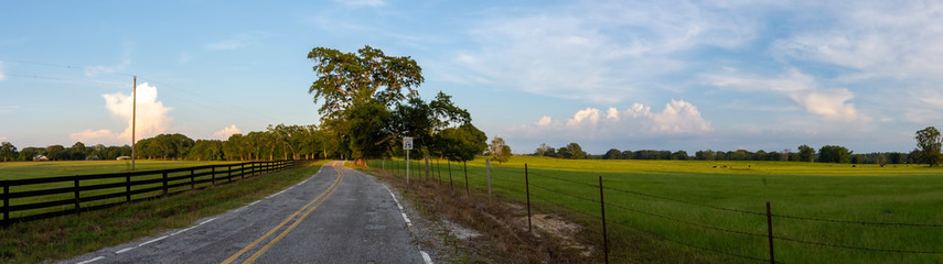 Country road panorama with cow pasture © jackienix