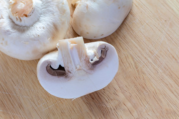 Mushrooms close-up on a wooden background.