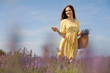 Young woman with wicker handbag full of lavender flowers in field on summer day © New Africa