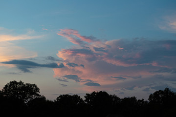 Pink cloudscape over treetops