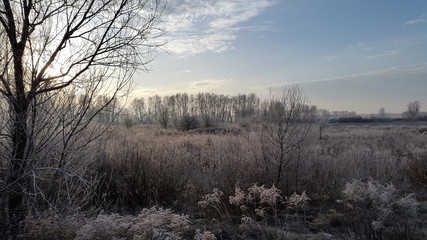 Frosty winter morning. Nature. Country landscape. Cold winter morning