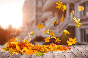 Naklejka na ściany i meble border frame of colorful autumn leaves isolated on white