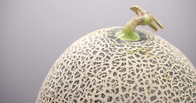 Whole of Japanese melon rotate, Close-up of orange melon or cantaloupe melon on gray background