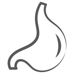 
Stomach icon in doodle vector, human digestive organ 
