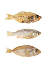 Three Dried fishes isolated on white background