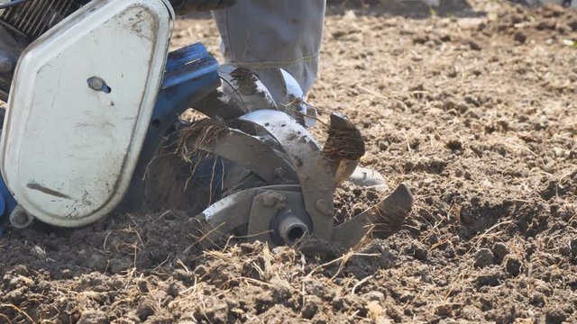 A man cleans knives or harrows ploughshares garden tillers from the stuck soil